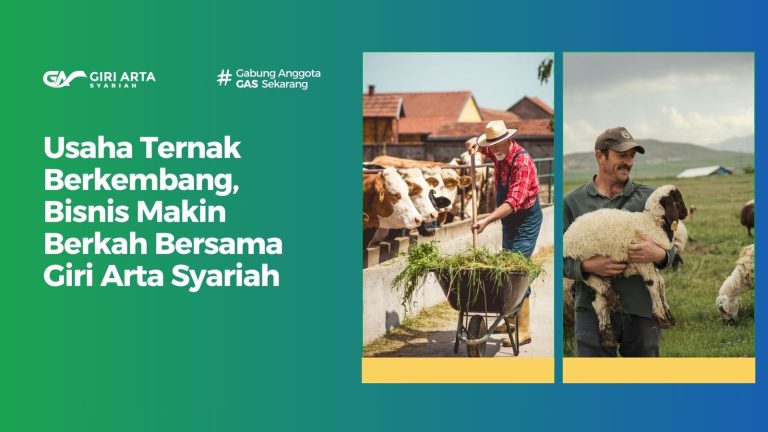 Usaha Ternak Berkembang, Bisnis Makin Berkah Bersama Giri Arta Syariah